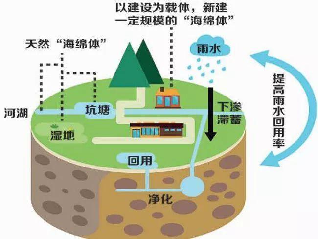 雨水收集利用系統(tǒng)都被應用到什么領域？